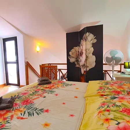 Cactus Ocean View Apartmán Arona (Tenerife)